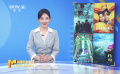 市場觀察：《默殺》《歡迎來到我身邊》《傘少女》《傳說》