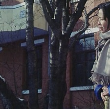 燃燒的雪花