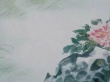 蝶双飞