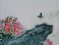 蝶雙飛