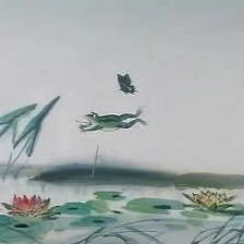 蝶雙飛