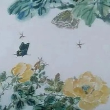 蝶雙飛