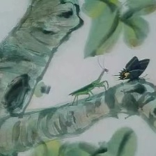 蝶雙飛