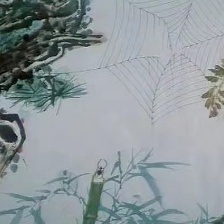 蝶雙飛