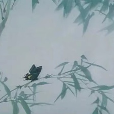 蝶雙飛