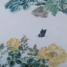 蝶雙飛