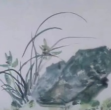 蝶雙飛