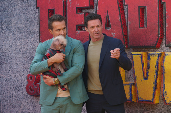 RR携狗狗亮相《死侍3》伦敦首映 X教授将回归!