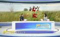 回溯電影《出發(fā)》那段百年前的暑期游學(xué)路