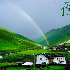 再見(jiàn)土撥鼠