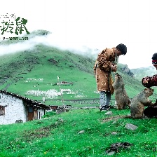 再見(jiàn)土撥鼠