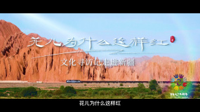 《花兒為什么這樣紅：文化尋訪記走進新疆》發(fā)布預(yù)告片