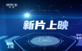 一周快评：《传说》《神偷奶爸4》《落凡尘》《二郎神之深海蛟龙》