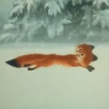 雪狐