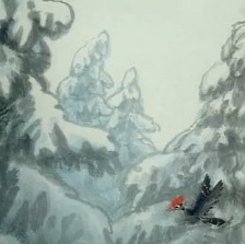 雪狐