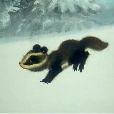 雪狐