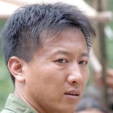 美人草