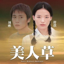 美人草