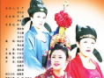 大唐女巡按