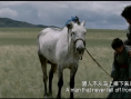 额吉
