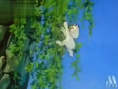 猫咪小贝