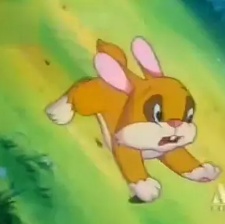 貓咪小貝