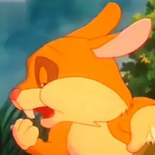 貓咪小貝