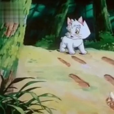 貓咪小貝