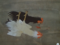 斗鸡