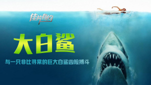 《大白鲨》影评：与一只非比寻常的巨型大白鲨凶险搏斗