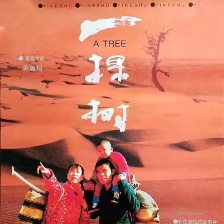 一棵樹