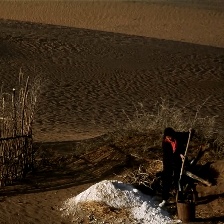 一棵樹