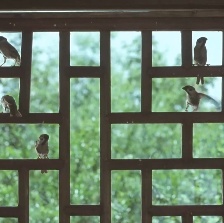 一輪明月