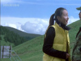 高原如梦