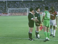 天生膽小