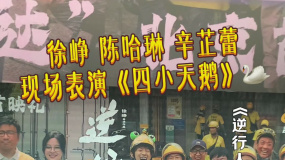 徐峥 陈哈琳 辛芷蕾现场表演《四小天鹅》
