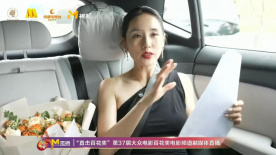 王智曾為《夏洛特?zé)馈贰读骼说厍颉返入娪鞍鼒?chǎng)打Call