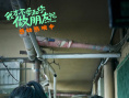 我才不要和你做朋友呢