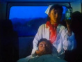 真心