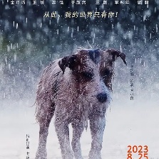 忠愛無言2