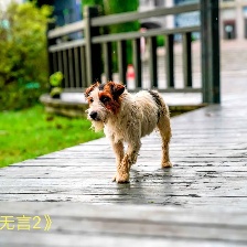 忠愛無言2