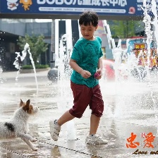 忠愛無言2
