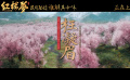 张碧晨献唱《红楼梦之金玉良缘》片尾曲  《枉凝眉》伤感吟诵爱情悲剧