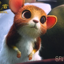 守龍者