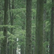 這么多年