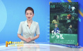 《中国电影报道》第239期（20240826）