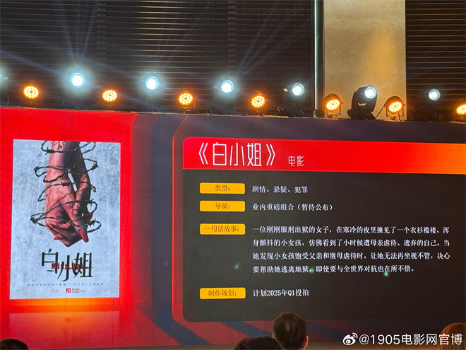 聚焦虐童问题！中国版《白小姐》将于2025年开拍