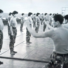 中國霸王花