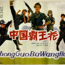 中國霸王花