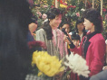 花街皇后